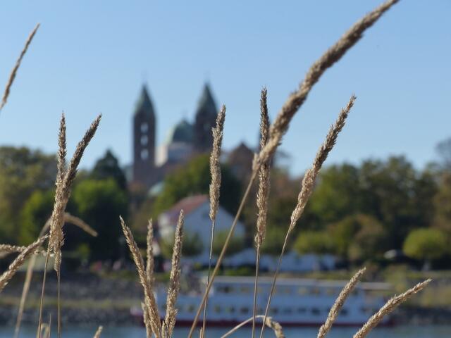 Speyer