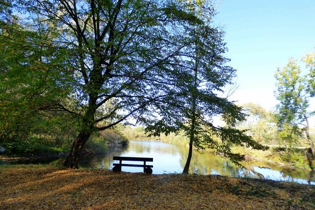 Die berühmte Bank vor dem Nachbarteich.