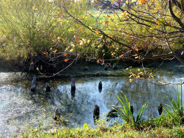 Hier war wohl einmal eine Brücke