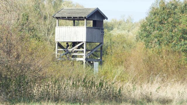 Der Beobachtungsturm ist zu sehen