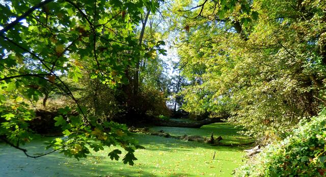 Hier fängt die große Kurve hinter dem Wiesendachhaus an.