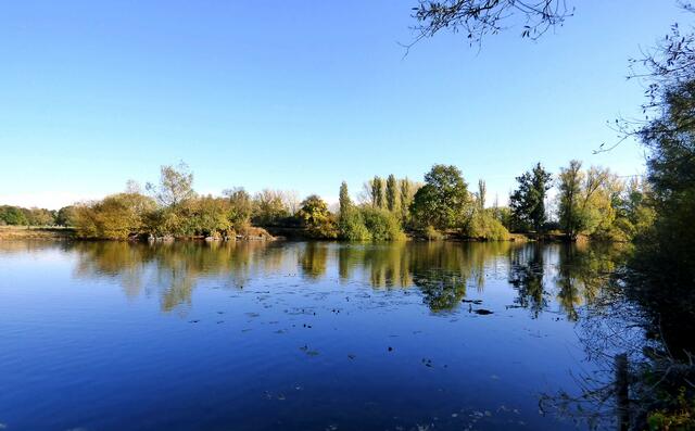 Der Teich parallel neben dem Wanderweg