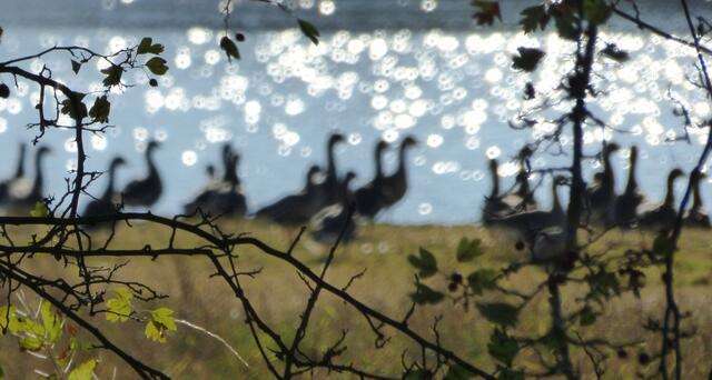 Blick zum Wilkenburger Teich
