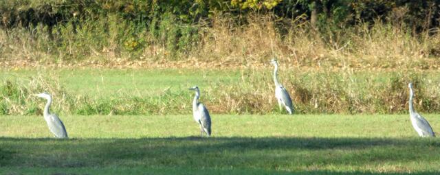 Ob es da was zu holen gibt?