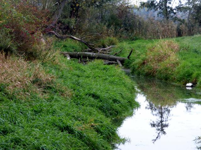 Vorsichtig gehe ich weiter