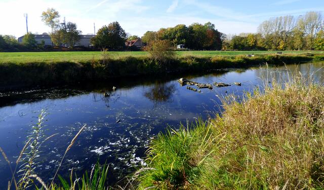 Grundmauern einer alten Mühle