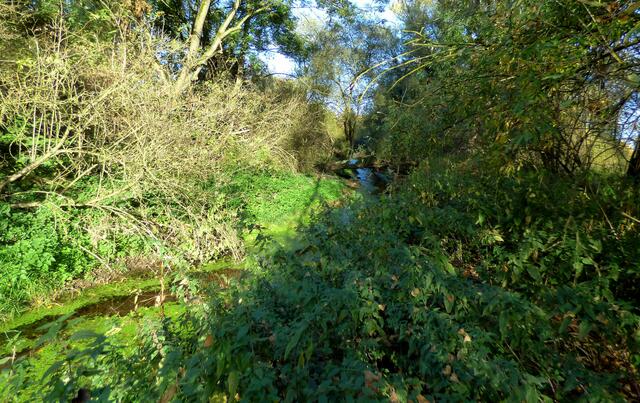 Ziegenbocksbrücke in Sicht