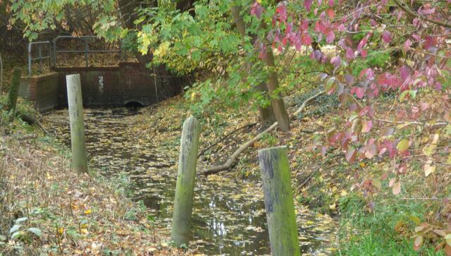 An dieser Brücke in Koldingen treffen Kälbergraben (der verlandete Arm der Alten Leine) und Mühlbach vom Koldinger Mühlenteich zusammen.