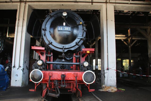 44 381