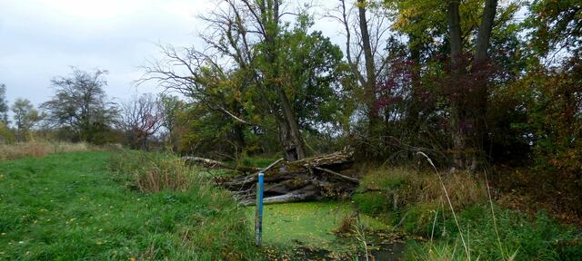 Hier rauscht es richtig