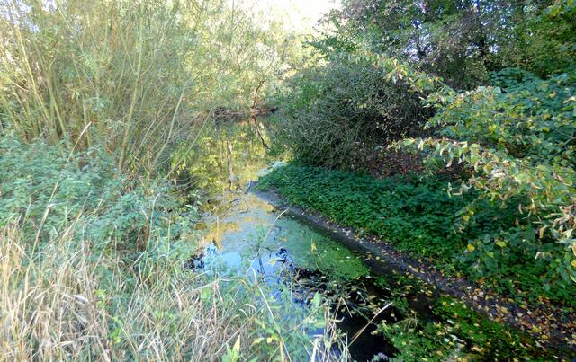 Wiedervereinigung nach über 12 km