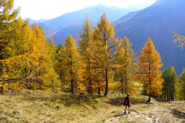 Für uns ist es nach dem Besuch des Ötzi-Museums in Bozen ein schönes Gefühl, nun die Landschaft kennengelernt zu haben, in der er auch unterwegs war. Wir werden weiterhin alles um ihn herum mit großem Interesse verfolgen.