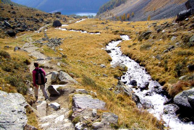 Doch dabei ist, gerade im unteren Bereich des Tales, in dem die Vegetation einsetzt, bei gefühlt sommerlichen Temperaturen Genusswandern angesagt.