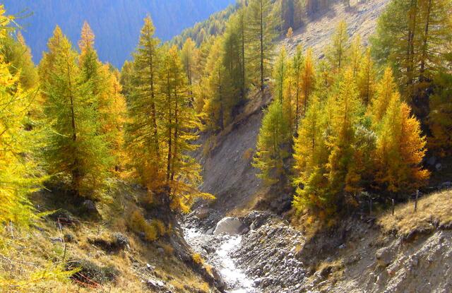 Und wieder staunen wir über so viel Schönheit der Natur, für die der Ötzi vermutlich keinen Blick hatte. Für ihn war das Alltägliches und Normalität.