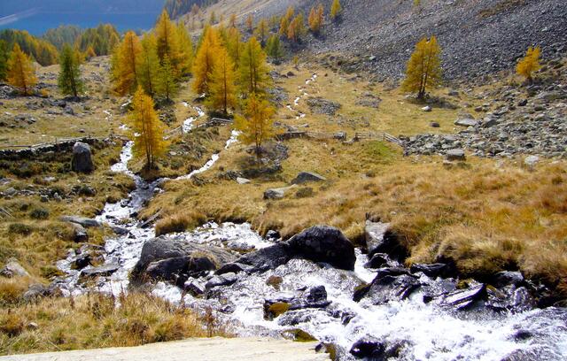 Wir verlassen den Waldbereich, der sich vor 5000 Jahren deutlich höher die Hänge hinaufschob.