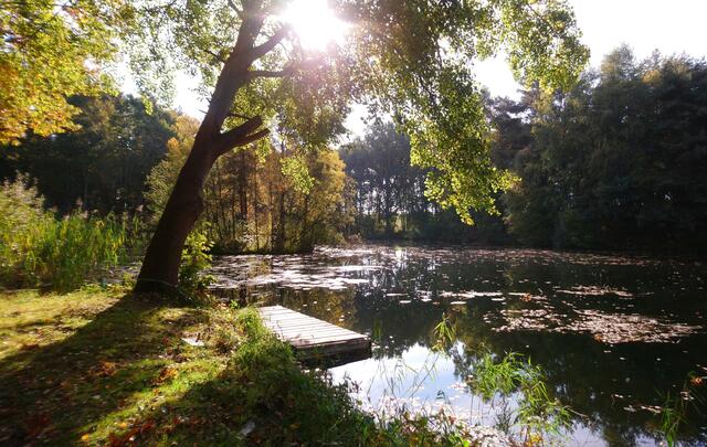 Idyllische Mergelkuhle