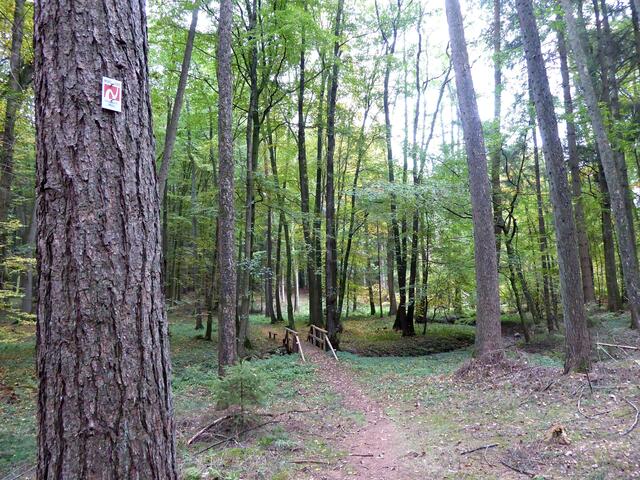 Am Baum links ist die Nordpfadmarkierung zu sehen.