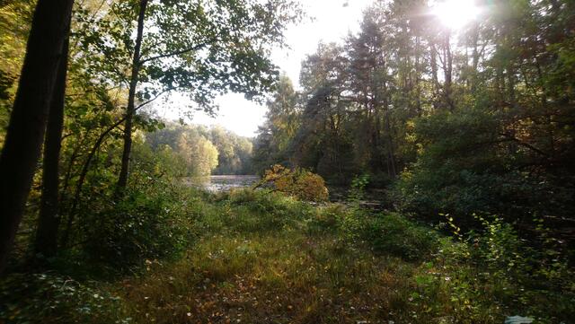 Die ehemalige Mergelkuhle bei Eitzmühlen ist heute ein mit Grundwasser gefüllter See.