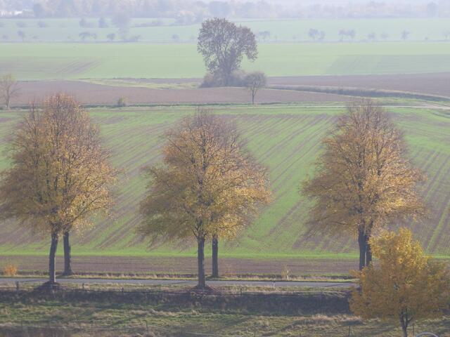 Dunstig samtige Einblicke, tief in die herbstliche Landschaft.