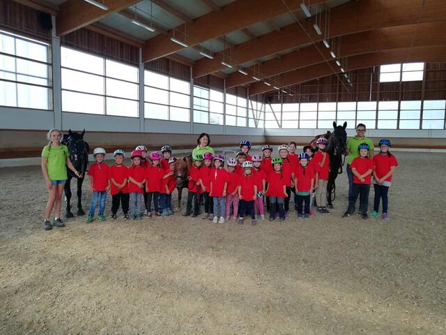 Reitertag - Ferienprogramm Meitingen