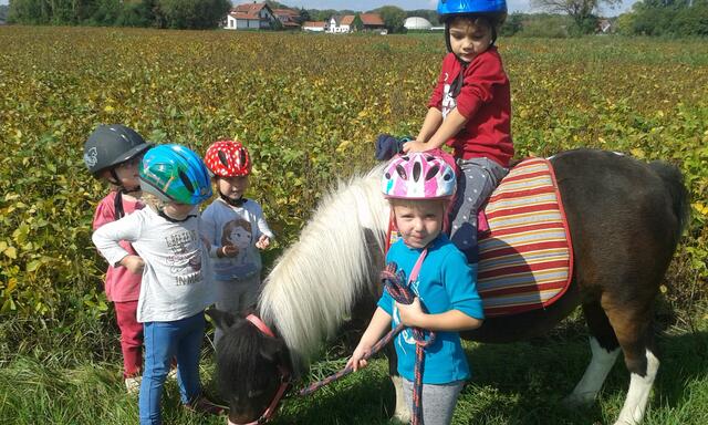 Ein Ausritt mit den Kleinen und Shetty Jenny
