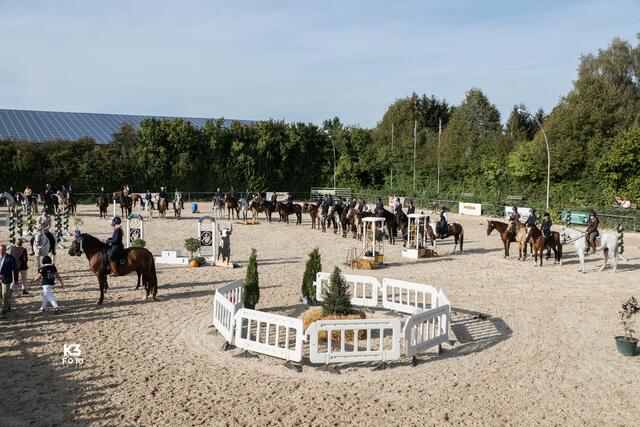 Speed Trail Prüfung bei Working Equitation | Foto: K3 Foto