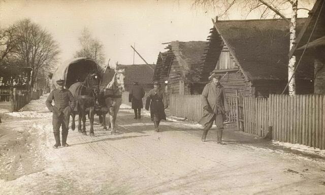 Trotz moderner Waffen spielten in beiden Weltkriegen auch Pferde noch eine große Rolle. Sie waren unverzichtbar, auch zum Ziehen von Kanonen. Und auch sie starben in Massen.