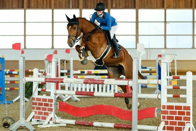 Hallenspringturnier - Reitamazone Chantelle Bremer