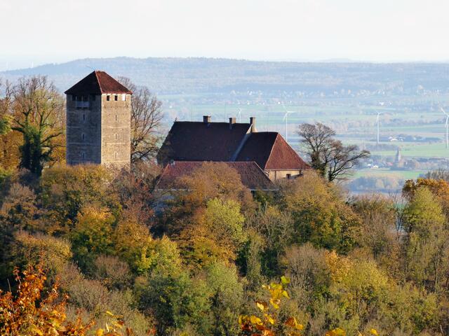 Blick auf die Schaumburg vom Hügel gegenüber. Links der Bergfried, der höchste der ursprünglich vier Türme der Burganlage.