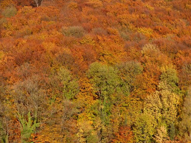 Indian Summer im Weserbergland.