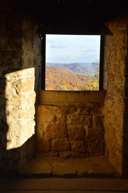 Blick in eine andere Welt.
