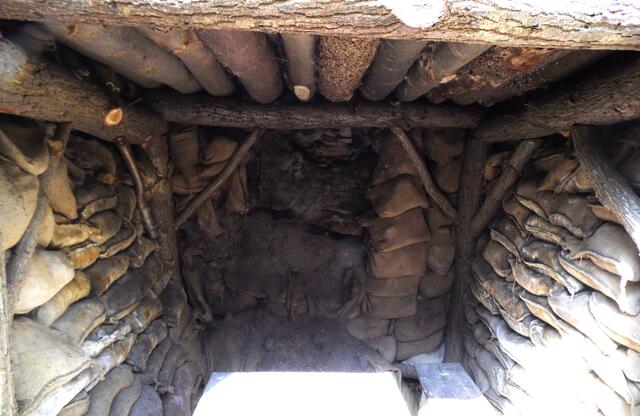 Tagtäglicher ohrenbetäubender Geschützlärm, oft  das Stehen im Schlamm, manchmal in knietiefem Wasser, auch bei Kälte, mancherorts Scharen von Ratten und die verwundeten und die schreienden und toten Kameraden im zerbombten Feld davor, die nicht geborgen werden konnten, machten die Aufenthalte zur Tortour. Wie viele unserer Großväter, als wir sie als Kinder oder Jugendliche noch selbst erlebten, mögen traumatisiert gewesen sein, ohne dass wir es damals ahnten?