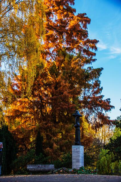 Dieses Rot gibt es nur im Herbst