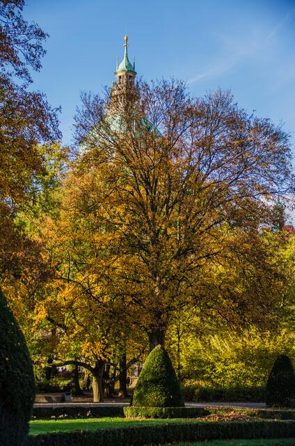 Ein zartes Gelb für die Baumkrone