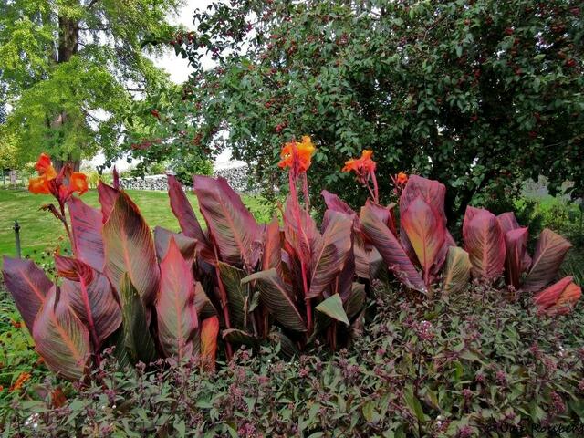 Im Berggarten , 3.10.18