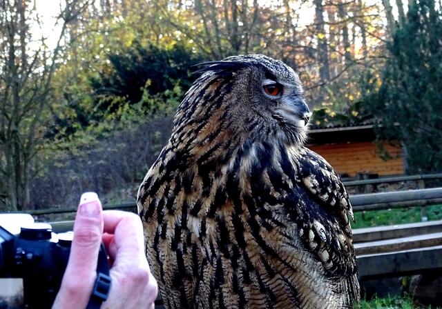 Warum schnippt die Conny da mit dem Finger?