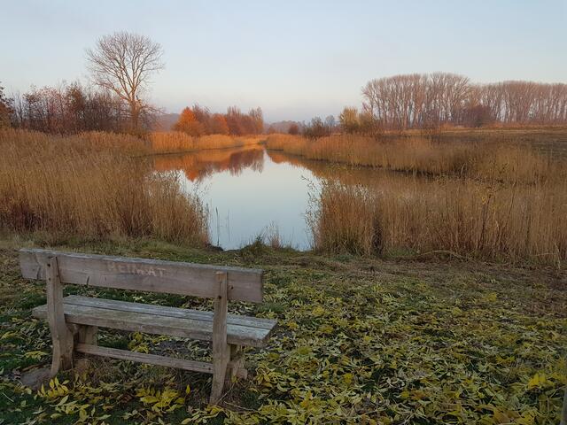 Bank an dem Teich...oder so ;-)