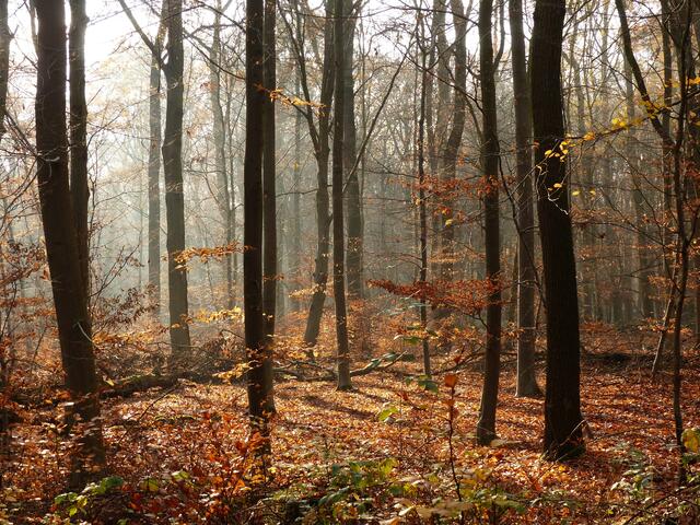 ... im Gegenlicht