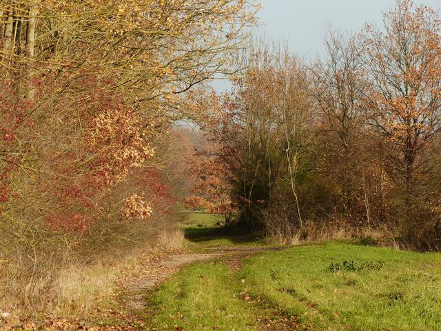 ... der Weg ist das Ziel