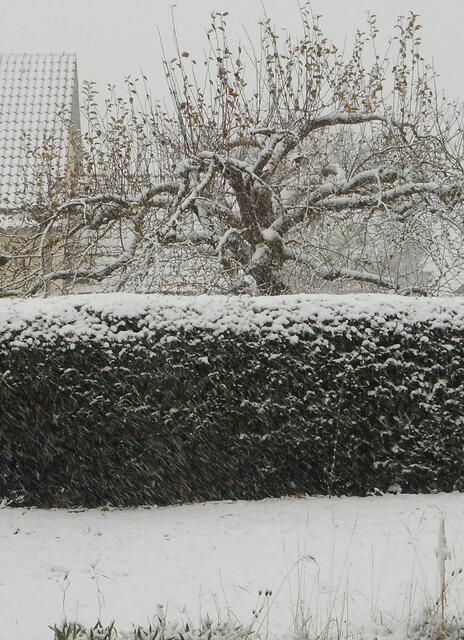 Um 15 Uhr ein letzter (fotografischer) Blick vom Esszimmerfenster über die Terrasse zum Nachbargrundstück. Die Schneedecke hat eine Höhe von 5 cm.