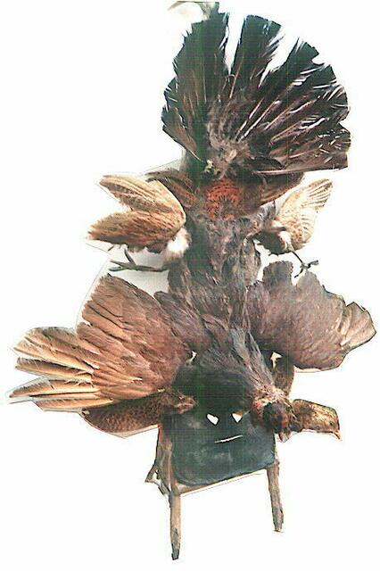 Vogelbälge bei Kukeri-maske aus Bulgarien