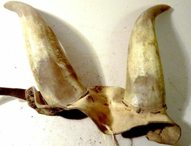 Trasosmontes Pobladura Hornaufsatz