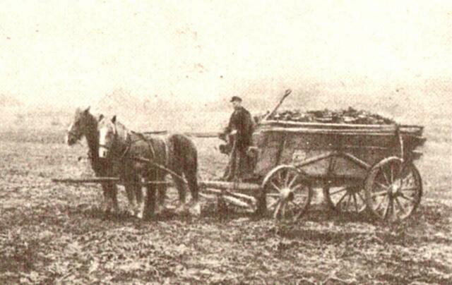 Wenn man endlich "vom Acker" war musste man dann noch über die Schranke nach Rethen zur Zuckerfabrik.