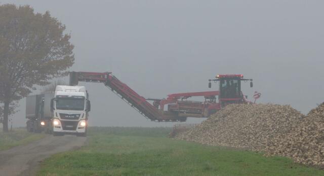 Der Weg ist jetzt wieder frei, die Rüben werden aufgeladen.