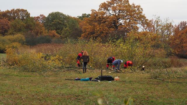 Dank der vielen helfenden Hände, konnte das Kleingewässer freigeschnitten werden und steht im nächsten Jahr wieder voll besonnt dem Laubfrosch zur Verfügung. Foto: NAJU Langenhagen