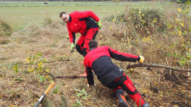 Kraftakt! Querliegende Weidenäste hatten nach unten bereits Wurzeln gebildet, die das Herausziehen zur Herausforderung gemacht haben. Foto: NAJU Langenhagen