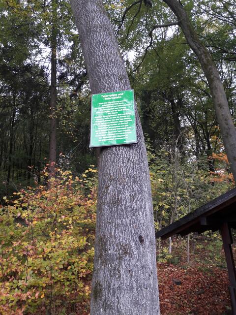 Geschichte zum Taternpfahl