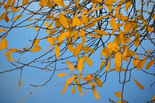Der Blick nach vorne...