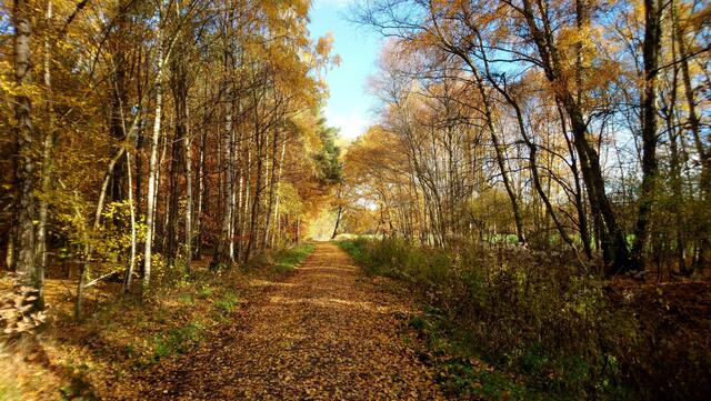 Goldenes Licht und strahlend blauer Himmel