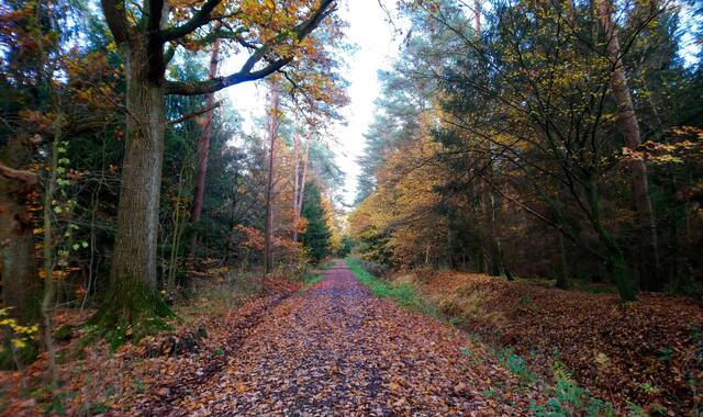 Die Sonne stand schon sehr tief und es wurde immer schattiger.